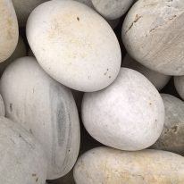 banner_white-pebbles