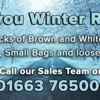 winter-ready-banner