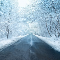 banner_winter-grit-1024×349-edited